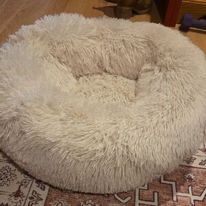 Brand New Dog Bed